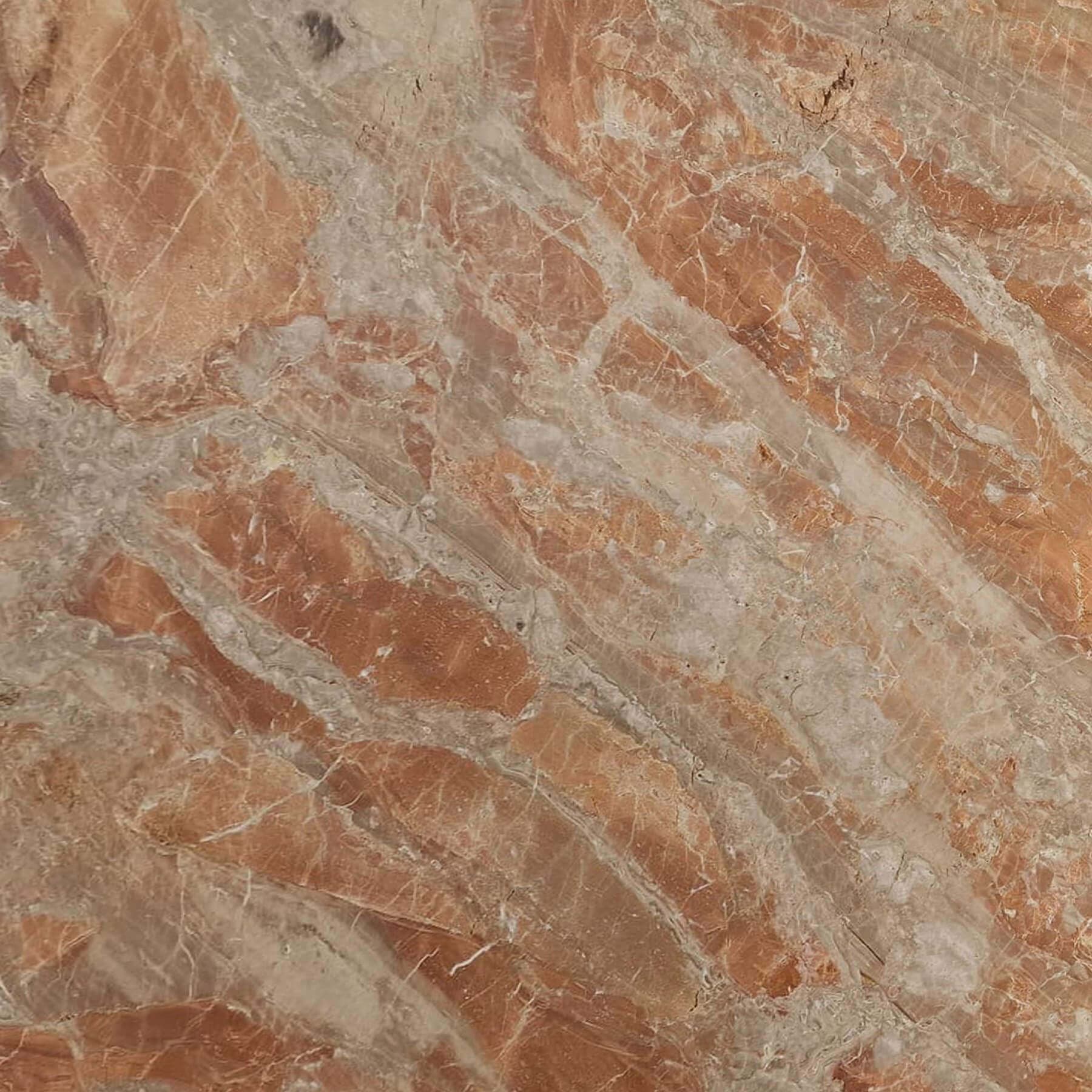 Rosaline sample: orange-pink with cream veining