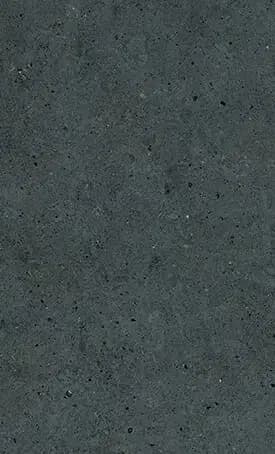 220 Magnate sample: dark charcoal with fine pits