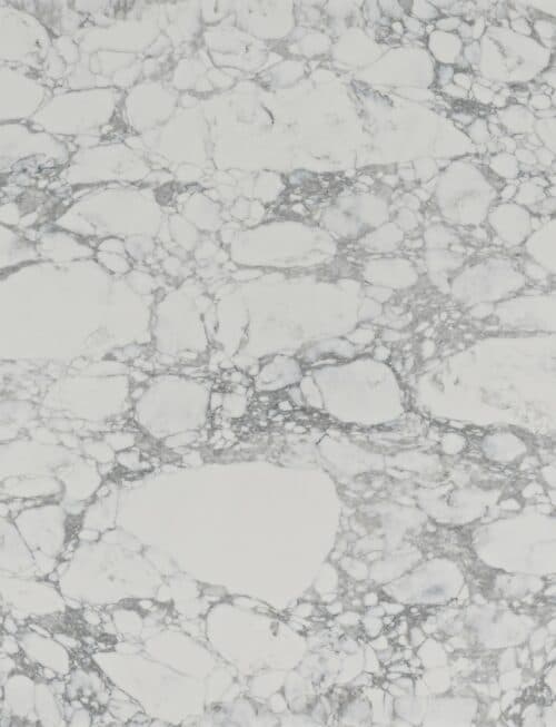 Arabescato Corchia sample: white with clustered grey veining