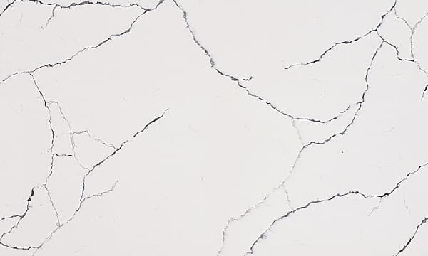 Sistina Bianco sample: white with dark crackle veining