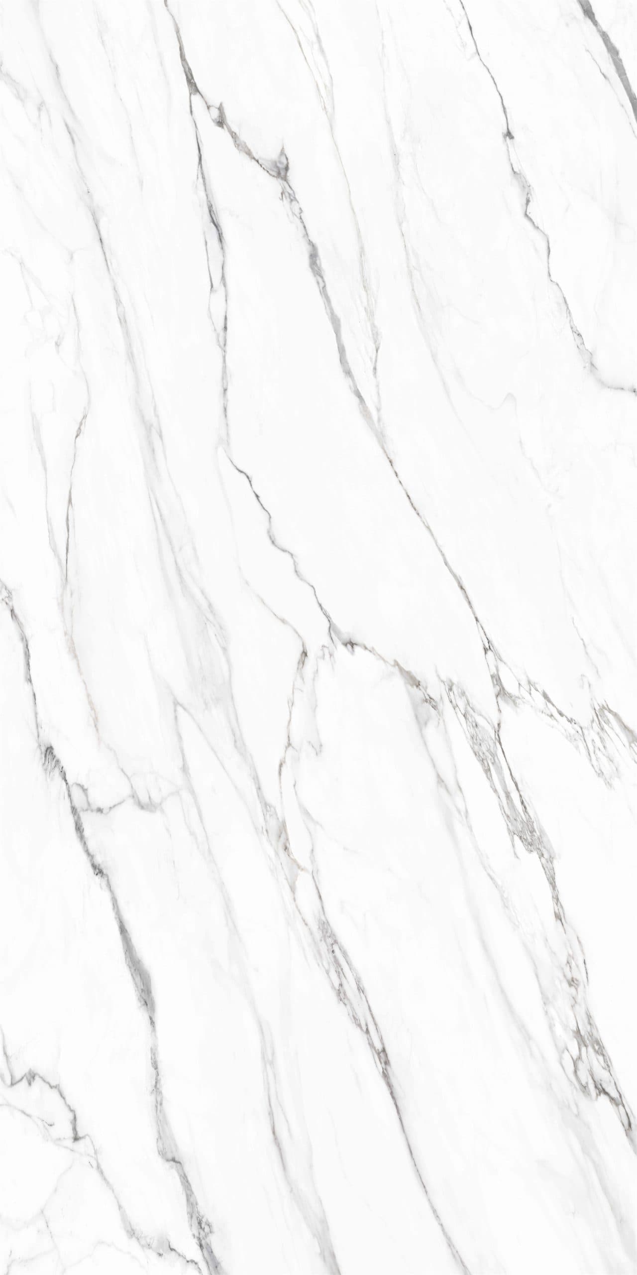 P106 Everest White porcelain sample: white with grey veining