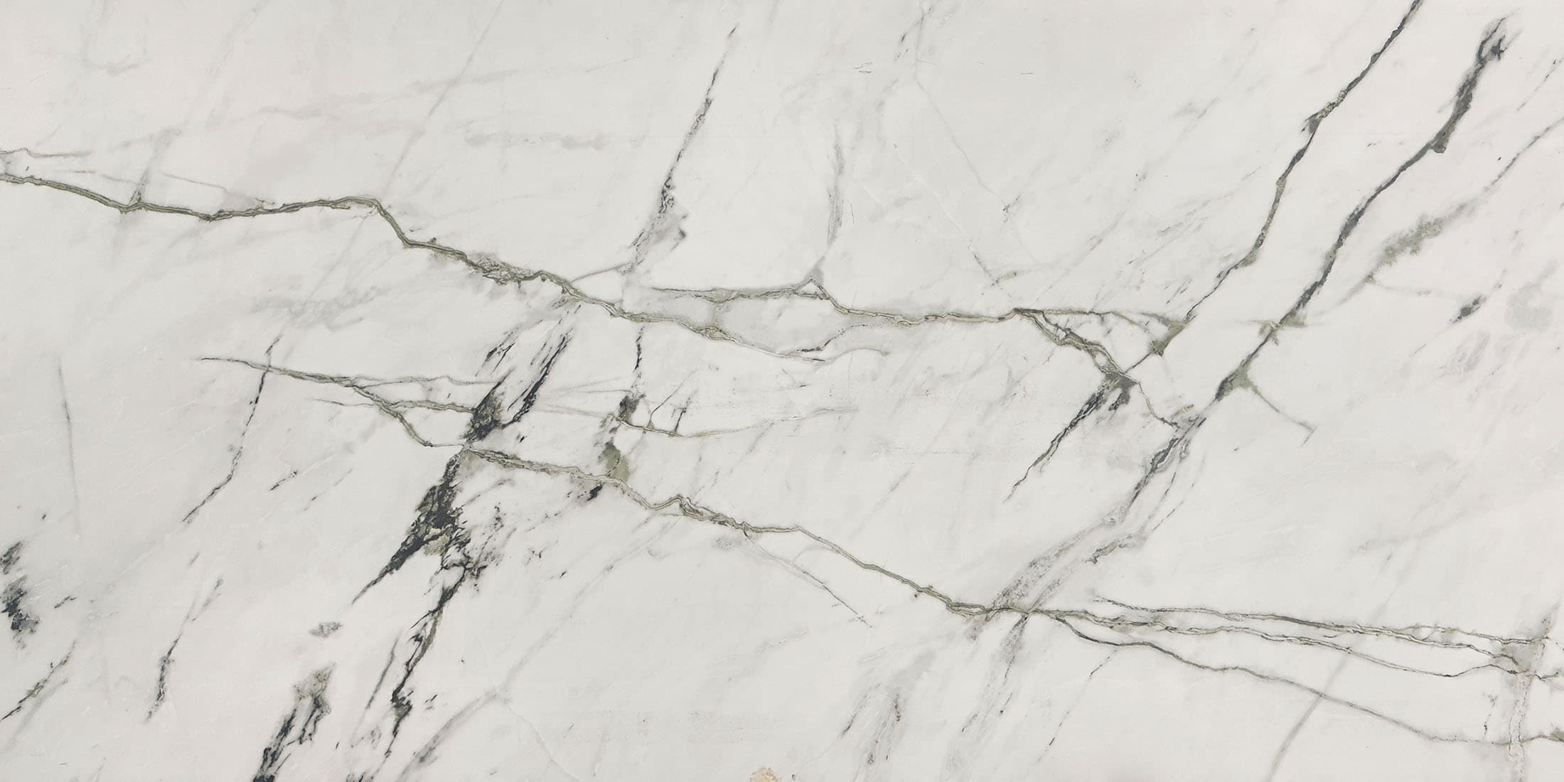 Tropical Green slab: white with dark veining